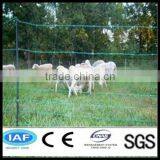 Grassland Fence Iron Fence (China Factory) thumbnail-1