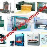 High Quality Particle Board Plant
