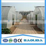 Galvanized Steel Framework Vegetable Used Green House For Sale thumbnail-3