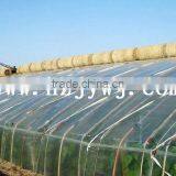 Sunlight Greenhouses thumbnail-1