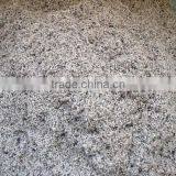 Cotton Seeds / Animal Feed / Cotton thumbnail-2