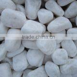 China Hote Sale White Pebble for Garden Cheap thumbnail-1