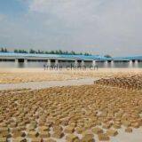 China Haijin International Trading Co., Ltd. company overview - view 3 thumbnail