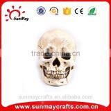 Custom High Quality Hand Carved Resin Skull for Crafts thumbnail-1