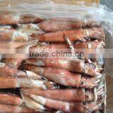 BQF Seafood/Squid Loligo thumbnail-1