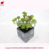 Artificial Tropical Plants in Pot Mini Green Plant Artificial Succulent for Garden Arrangement thumbnail-2