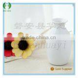 Cheap New Vase Reed Diffuser