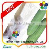 Loofah bag luffa bag for vegetables packing protection