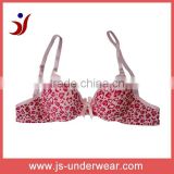 Factory OEM ODM isexy bra for girl sexy underwear push up bra with best price