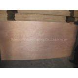 Poplar Plywood thumbnail-1