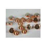 Durable Pure Silver Electrical Contact Rivet For Micro Switch thumbnail-1