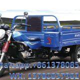 Gasoline Tricycle Cargo Loader Lovol Three Wheeler Mali Ethiopia Ghana Bukina Faso Tanzania Kenya Senegal Togo Benin Nigeira Mauritania Angola Burundi Chad Cameroon C ô te D'Ivoire Gabon Guinea Mozambique Rwanda Congo Uganda Zimbabwe