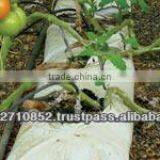 HYDROPONICS GROW BAG thumbnail-2