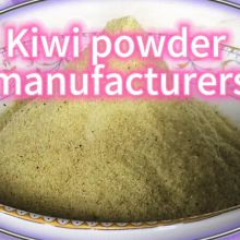 high quality Kiwi powder Extract Plant Extract Powder