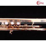 GTR-880G Professional Series Trumpet thumbnail-2