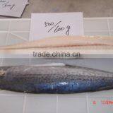 Spanish Meckral Fresh Fish