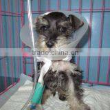 Protective E-Collar for Cats and Dogs