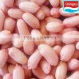 Best Peanut for Oil & Butter & Food