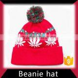 Snow Sport Winter Beanie Cap thumbnail-4