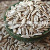 Sunflower Seeds Kernels/confectionary &bakery High Quality thumbnail-6