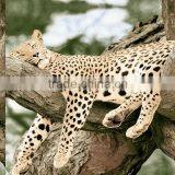 100% Polyester Panel Disperse Printed Fabric