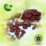 Dark Red Kidney Beans thumbnail-1