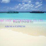 From China to Europe thumbnail-1