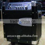 Big Portable Rechageable Speaker With Usb/sd