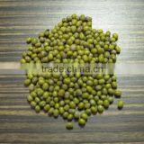 Moong Bean thumbnail-1