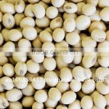 Australian organic soya beans