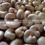 Cashew Nuts... thumbnail-3