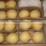2015 New Crop Fresh Pears Bulk Purchase thumbnail-2