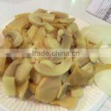 Tope Quality King Oyster Mushroom thumbnail-3