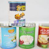 Canned Water Chestnut thumbnail-2