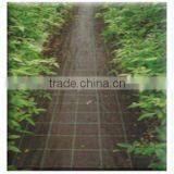 2015 Hot Selling! High Quality Plastic Anti-weed Net