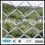 1 Inch Chain Link Fence(factory) thumbnail-1