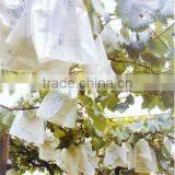 Paper Fruit Protecting Bag for Grape thumbnail-1