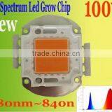 Powerful Cob Led Full Spectrum Chip for Plant,plant Chips thumbnail-2