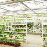 Hydroponic Used for Styrofoam Greenhouse thumbnail-2