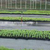 Agrotextile Ground Covers thumbnail-4