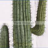 SJ3001017 Landscaping Decorative Shaped Cactos Artificial Plastic Cactus Plants thumbnail-4