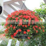 Pots Type and PP Plastic Type Garden Planters thumbnail-1