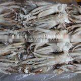 Squid Head With Frozen thumbnail-3