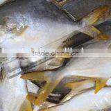 Gold Pomfret Bulk Buy From China thumbnail-2