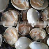 Frozen Boiled Seafood Fresh Meretrix Lusoria thumbnail-3