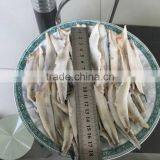 Anchovy Fillets in Vinegar thumbnail-3