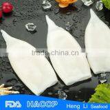 HL0088 Frozen Loligo Squid QS Certification thumbnail-3