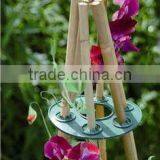 Natural Eco-friendly High Quality Bitter Bamboo Poles/Skewers For Climbing Plant thumbnail-3