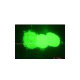 Glow Pigment ≤36um