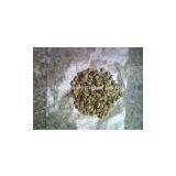 CHINA WASHED ARABICA COFFEE BEANS GRADE AA thumbnail-1